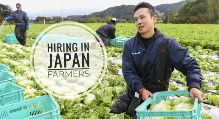 Farm Workers Jobs Hiring in Japan 2023
