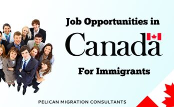 COMPANY NEEDS SKILLED PERSONS IN CANADA 2024